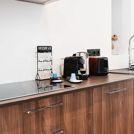 R'apparts T3 Lafayette Vintage Hypercentre Apartment Grenoble